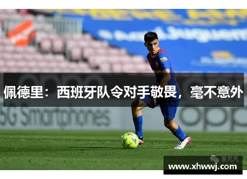 佩德里：西班牙队令对手敬畏，毫不意外